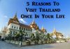 5 Reasons To Visit Thailand Once In Your Life