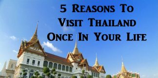 5 Reasons To Visit Thailand Once In Your Life
