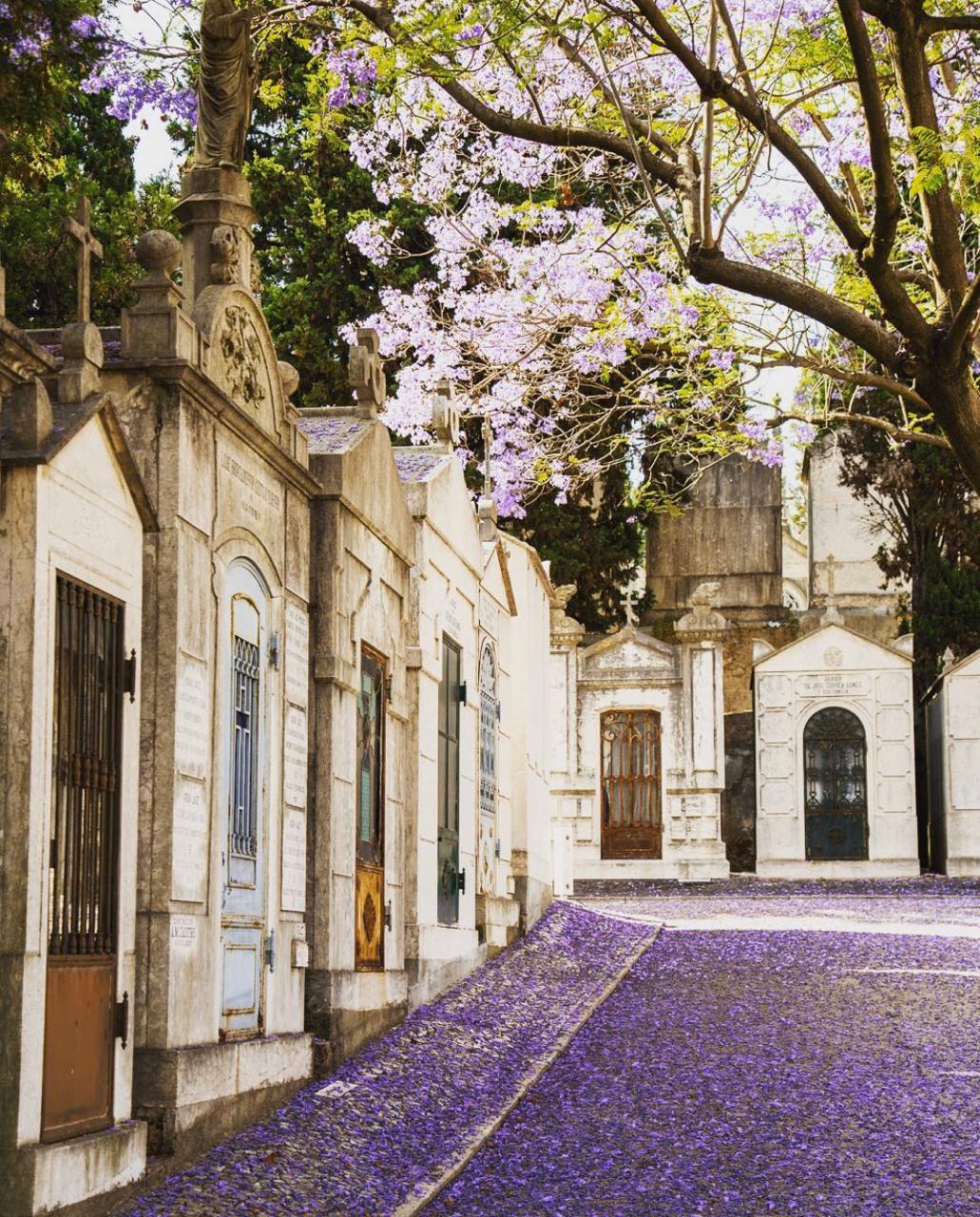 Cemiterio Dos Prazeres - Top 13 Instagram Spots In Lisbon