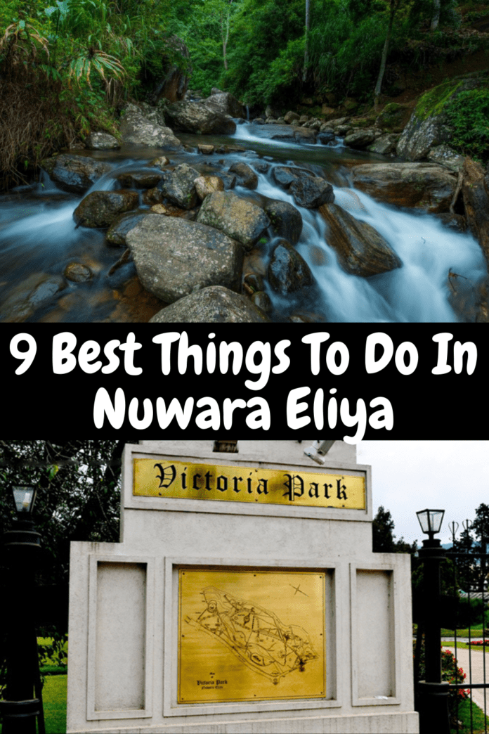 Best Things To Do In Nuwara Eliya