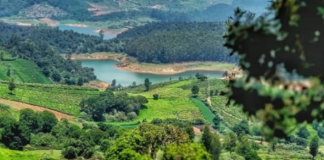 Best Places To Visit In Ooty
