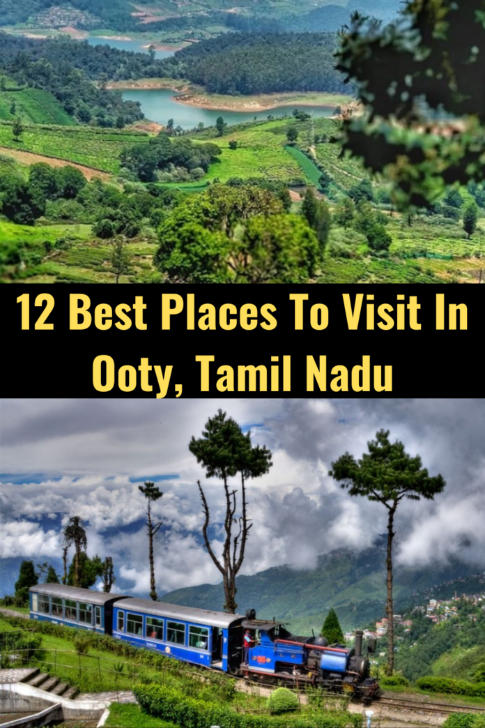 Best Places To Visit In Ooty